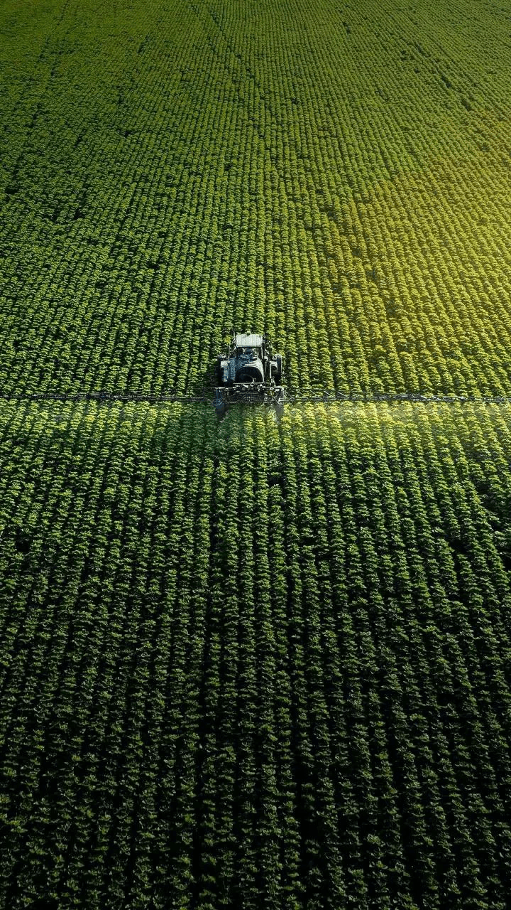 Fields of fresh organic crops